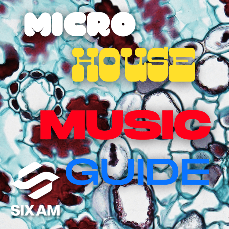 Microhouse Music Guide: History, Artists, and Songs