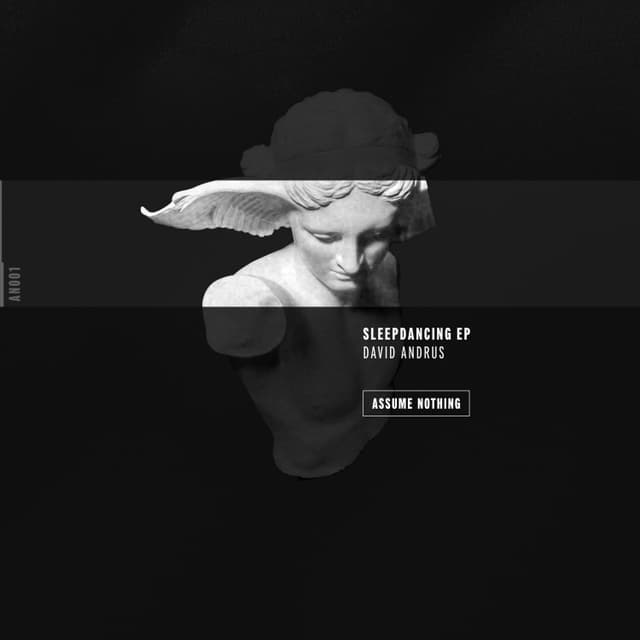 Premiere: David Andrus "Electric Dreams" - Assume Nothing Records