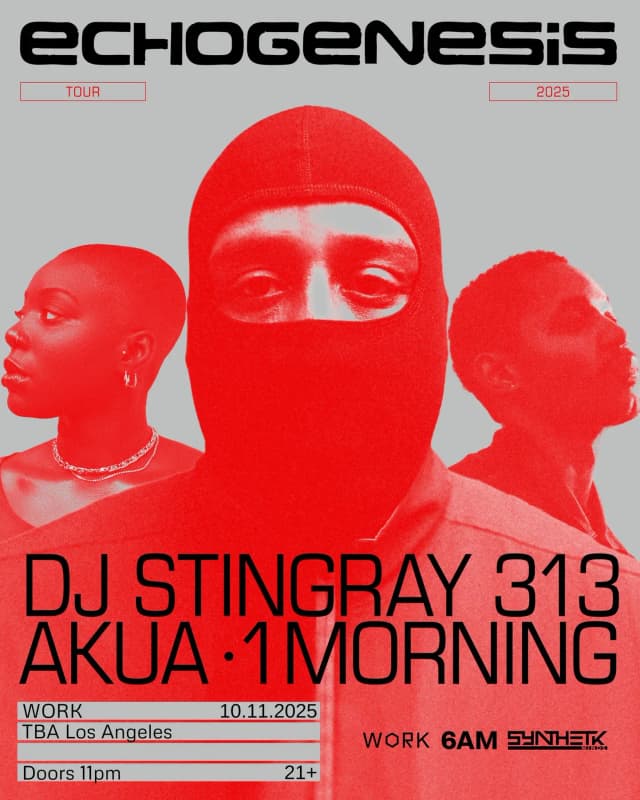 SATURDAY, OCT 11TH - WORK presents Echogenesis Tour: DJ Stingray 313, Akua, & 1morning