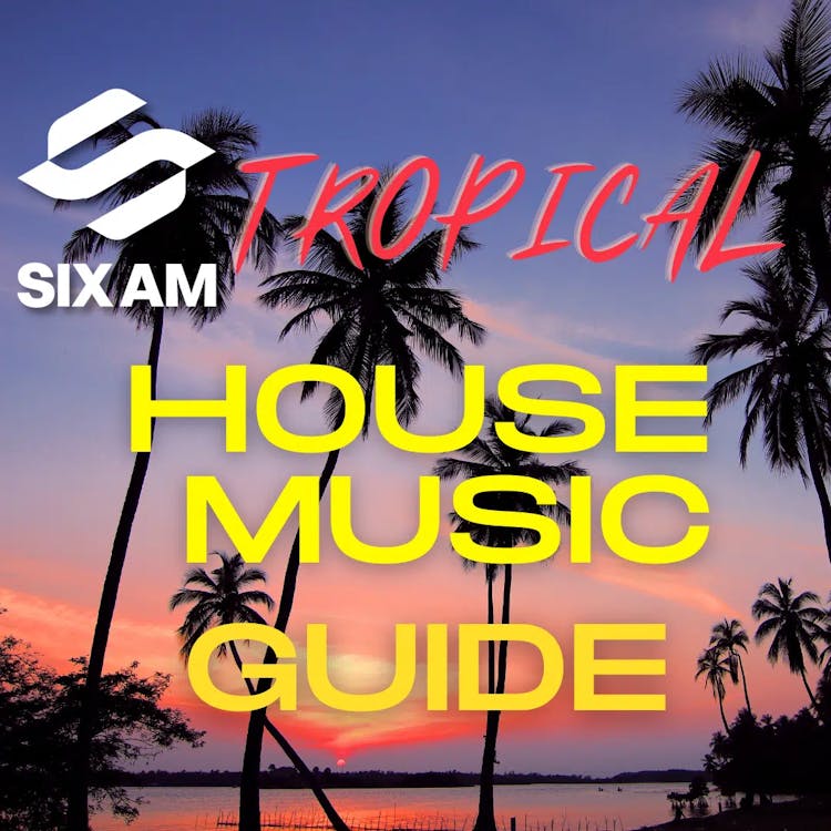 Tropical House Music Guide: History, Artists, and Tracks