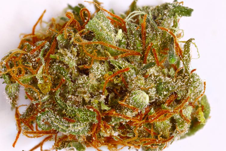 4/20: 10 Of The Best Weed Strains To Party To